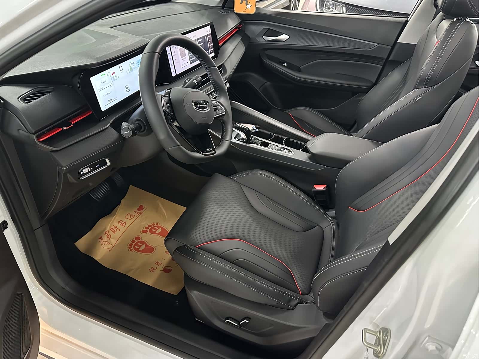 Geely Binray, 2024 10