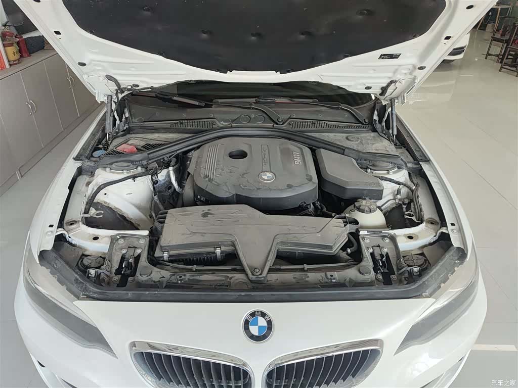 BMW 2 Series, 2019 20