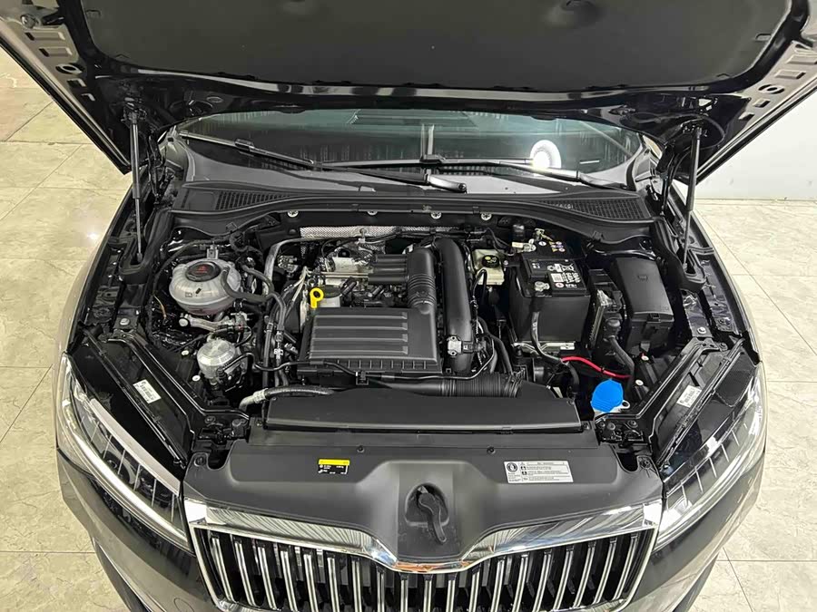 Škoda Speed pie 2024, фото 26