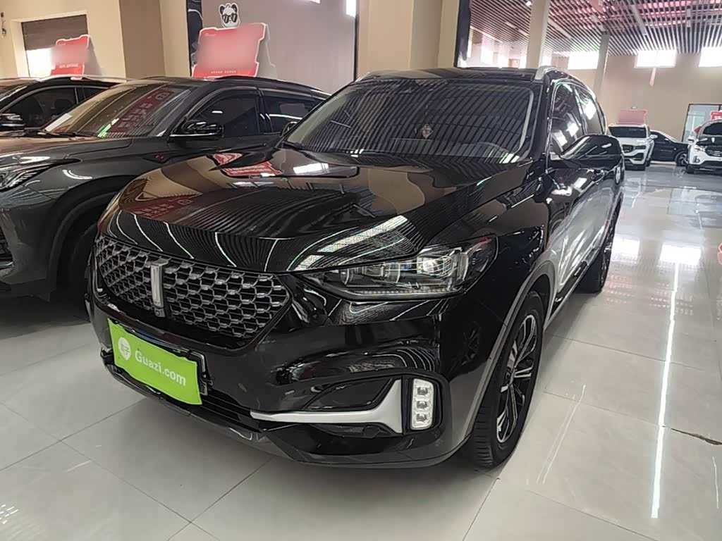 Wey VV6