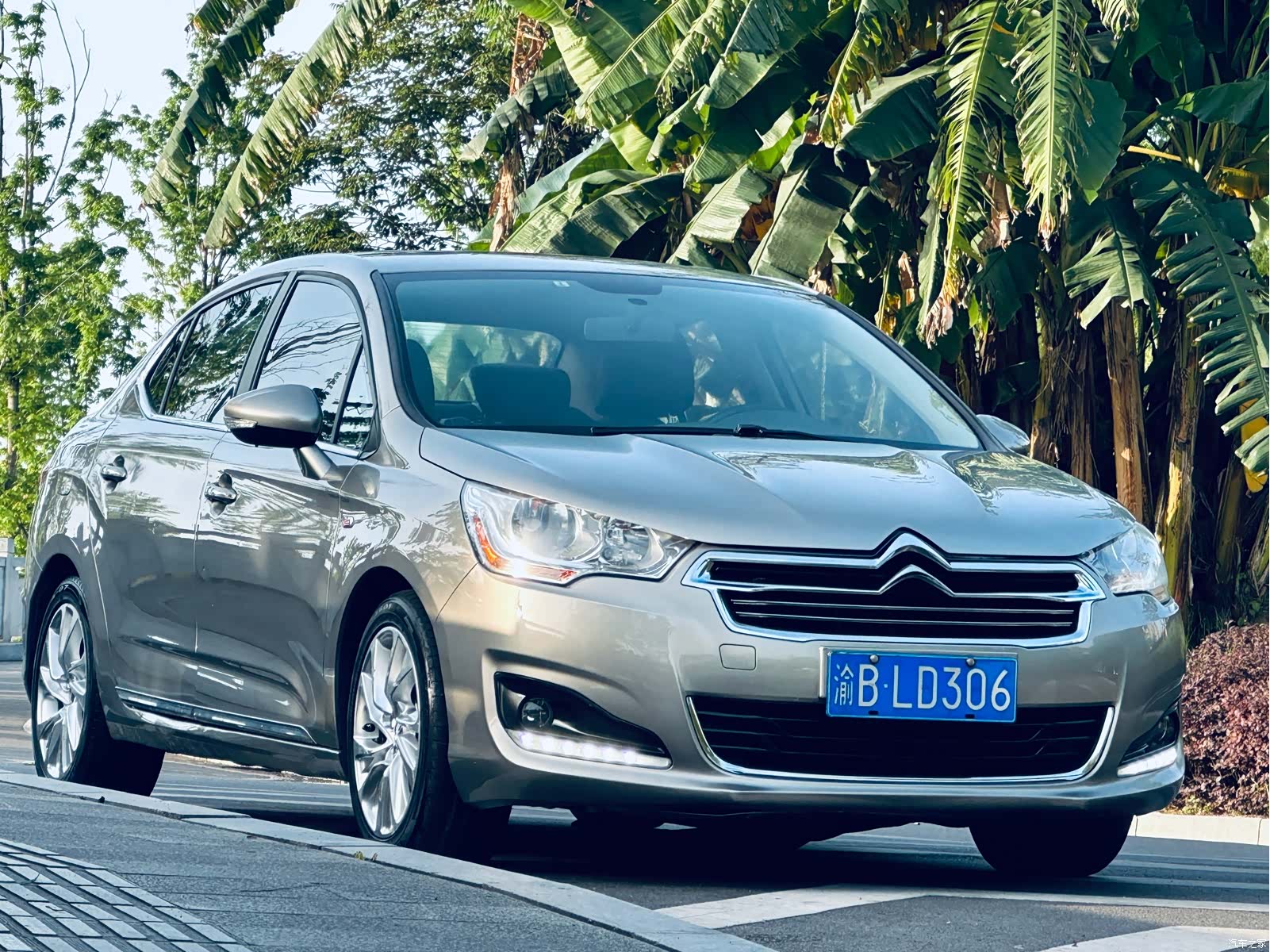 Citroen C4, 2014 2