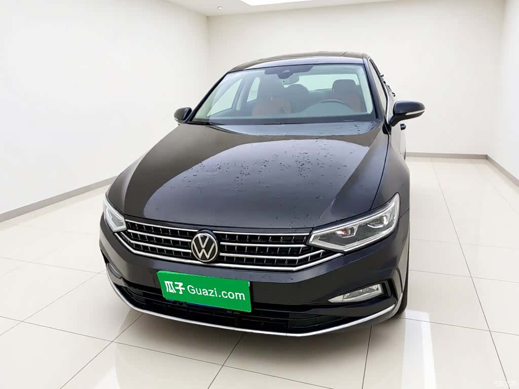 Volkswagen Magotan, 2024 2