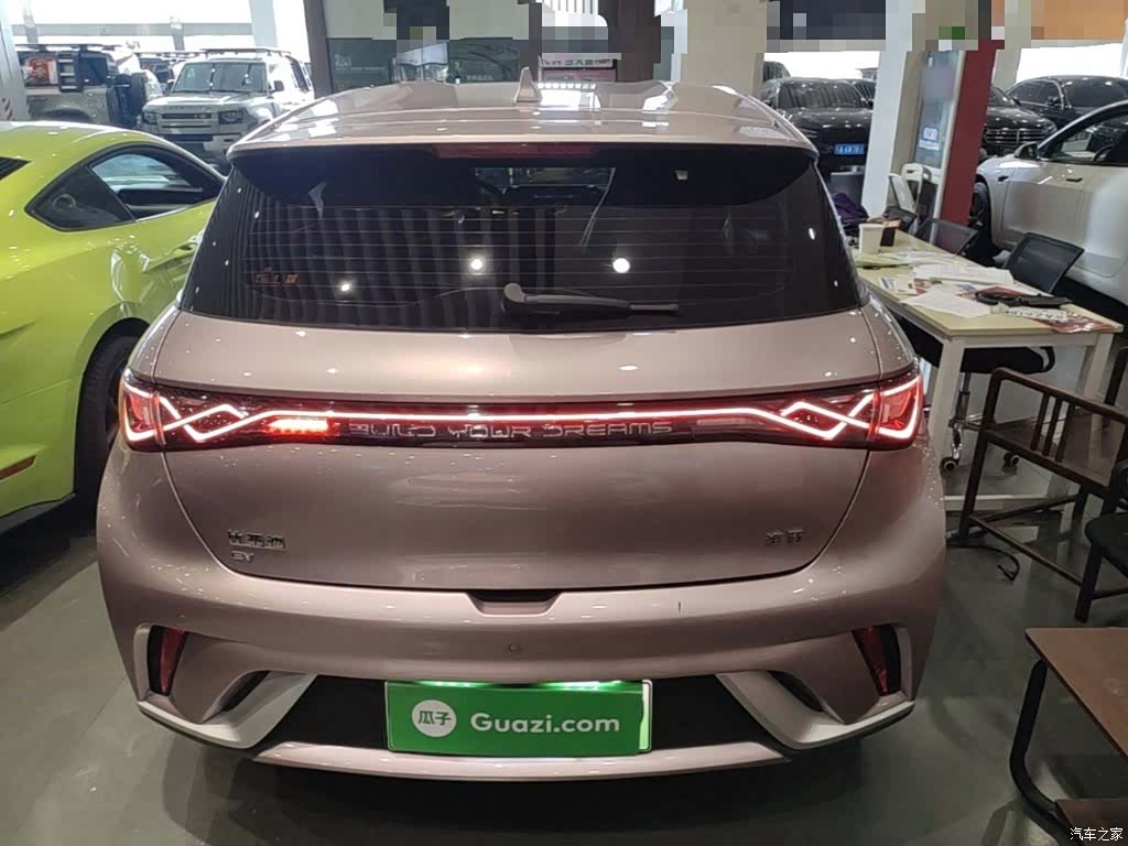 BYD Dolphin, 2024 6