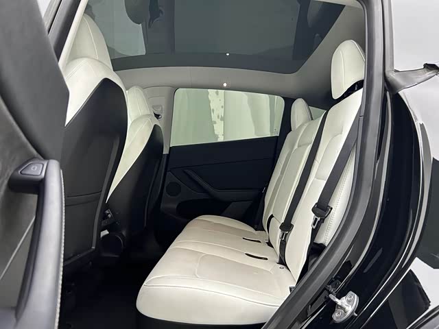 Tesla Model Y Tesla Model Y