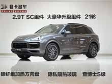 Cayenne 2020�� Cayenne S 2.9T