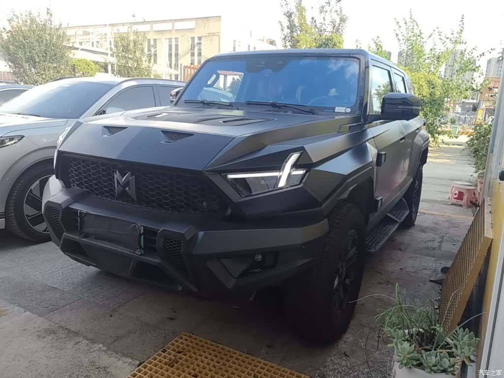 Mengshi 917, 2024 2
