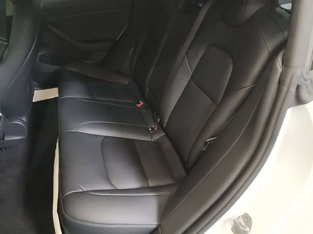 Tesla Model 3, 2020 17