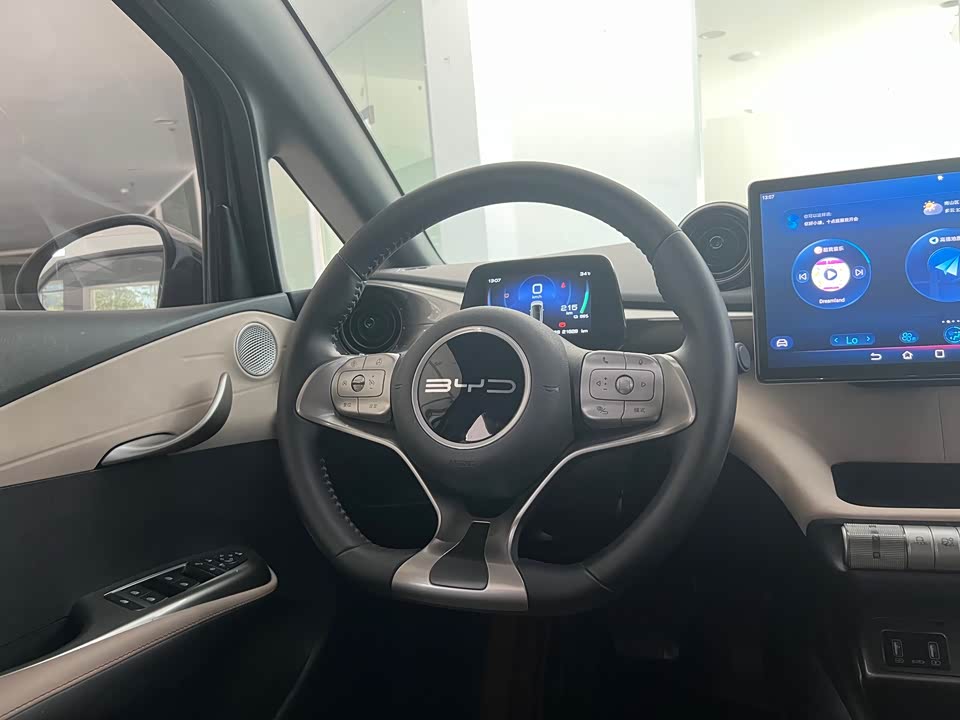 BYD dolphin