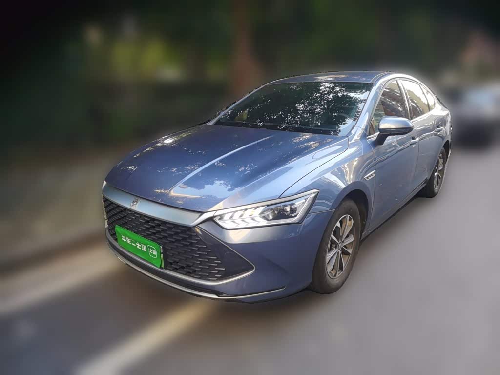 BYD Qin Plus PLUS 2024 DM-i 55KM Lead