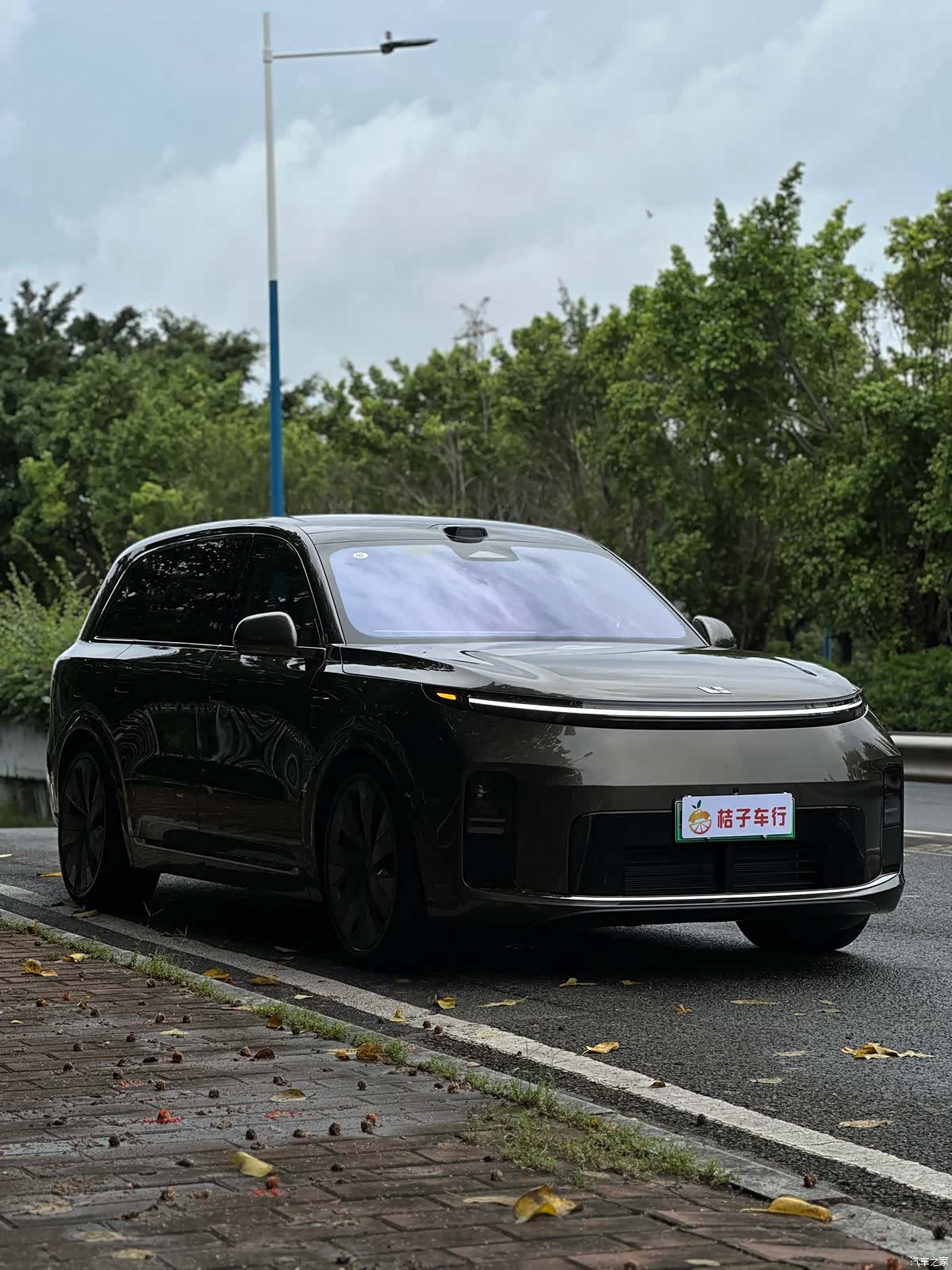 Li Auto L9, 2026 10