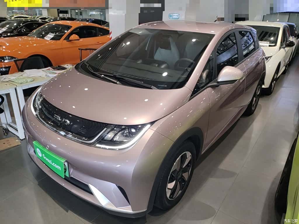 BYD Dolphin, 2024 1