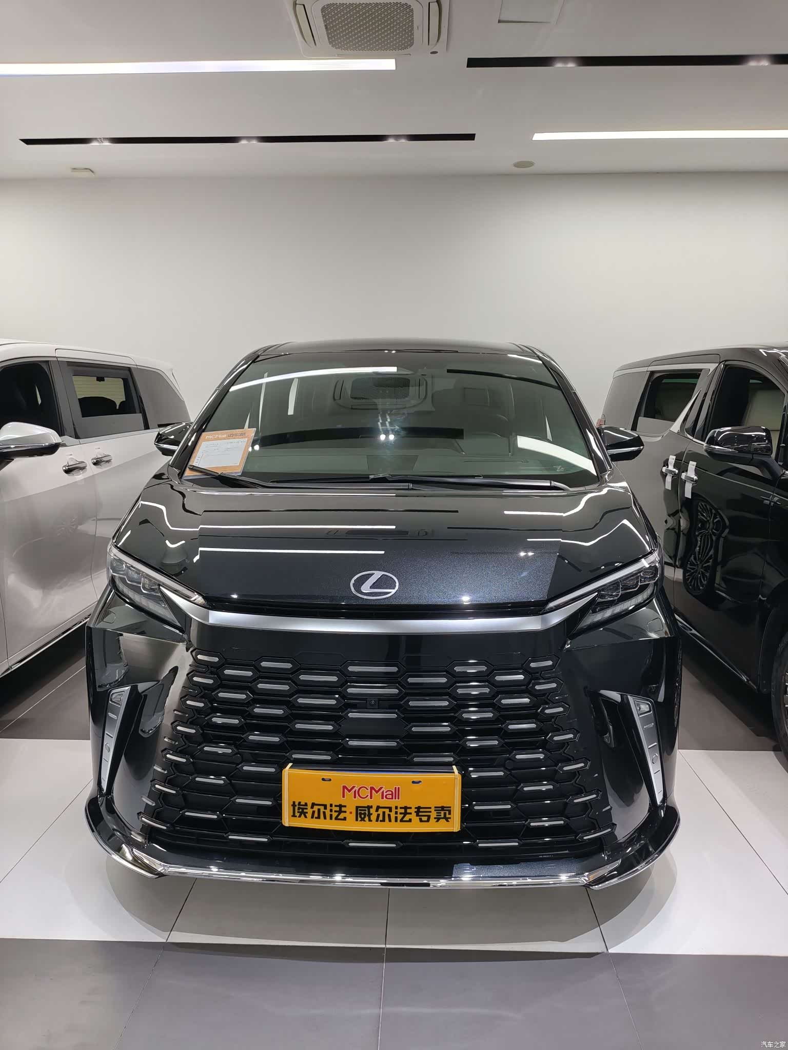 Lexus LM, 2025 все фото