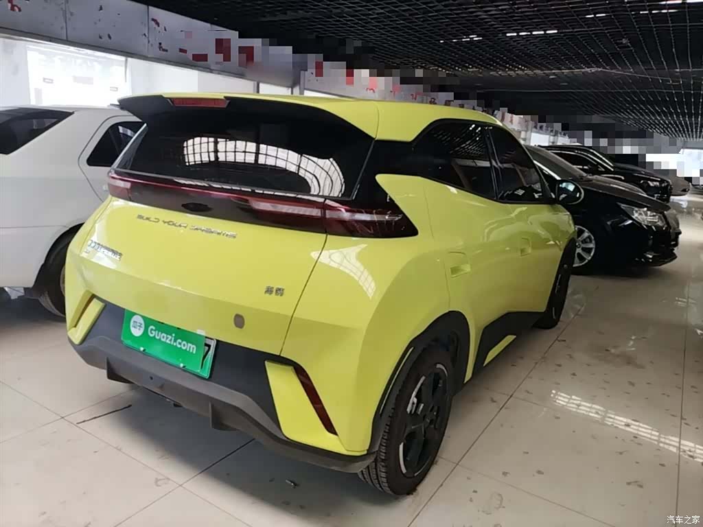 BYD Seagull, 2024 7