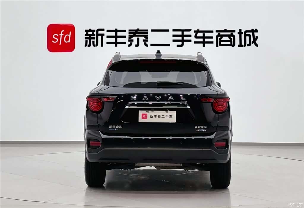 Haval Big Dog, 2023 7