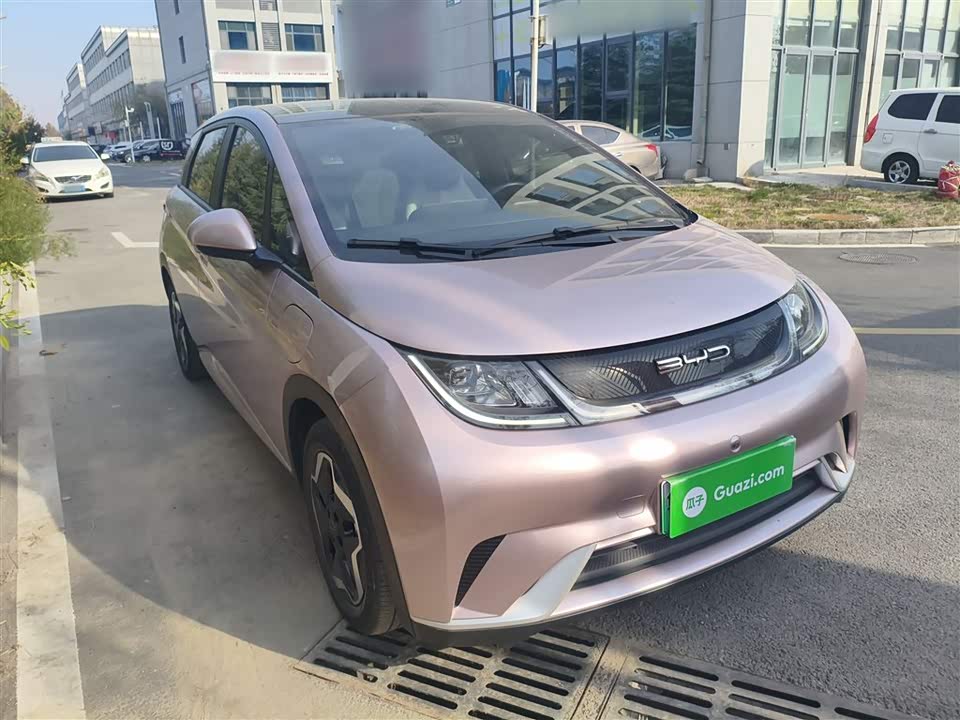 BYD dolphin