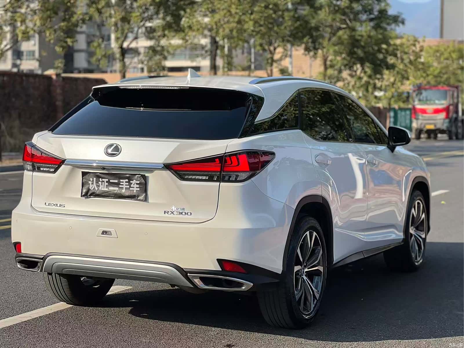 Lexus RX, 2020 4