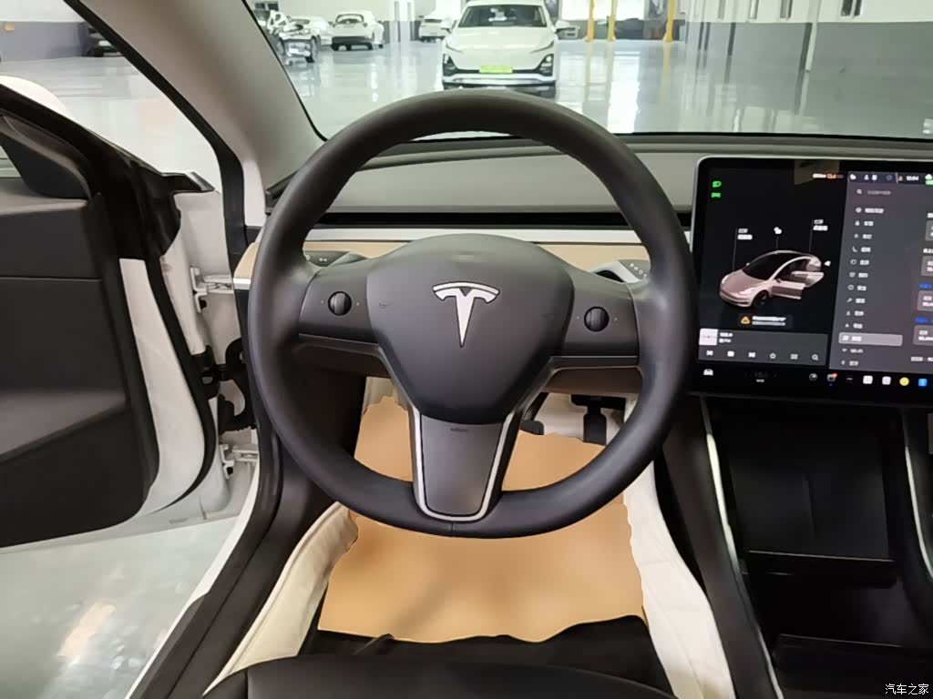 Tesla Model 3, 2020 11