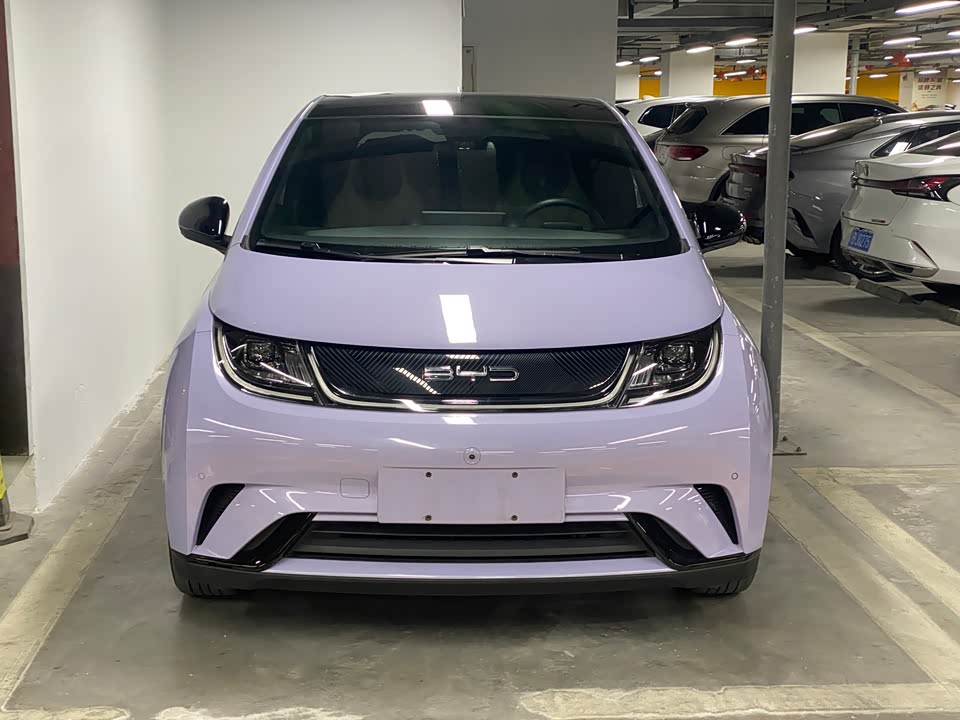 BYD dolphin