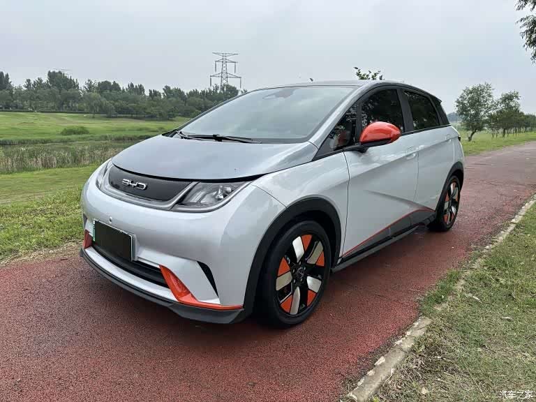 BYD Dolphin, 2023 1