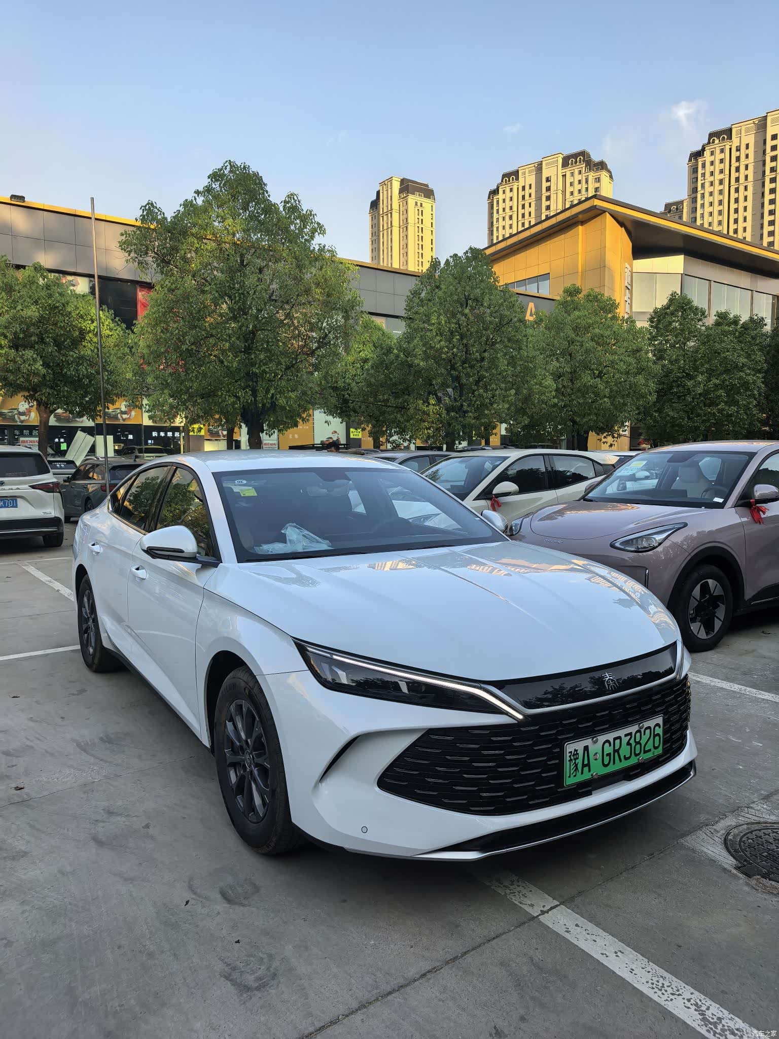 BYD Qin, 2026 2