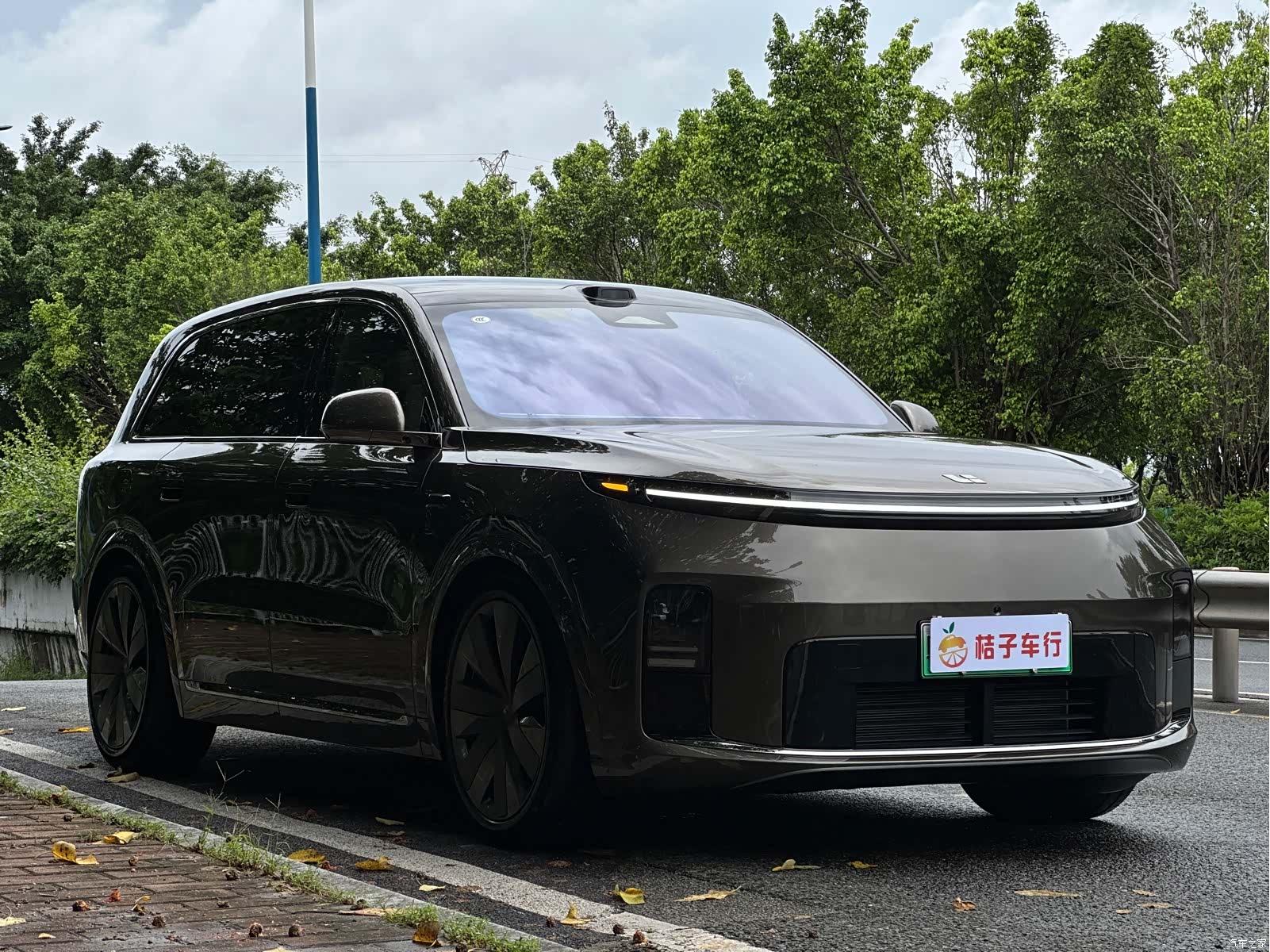 Li Auto L9, 2026 6
