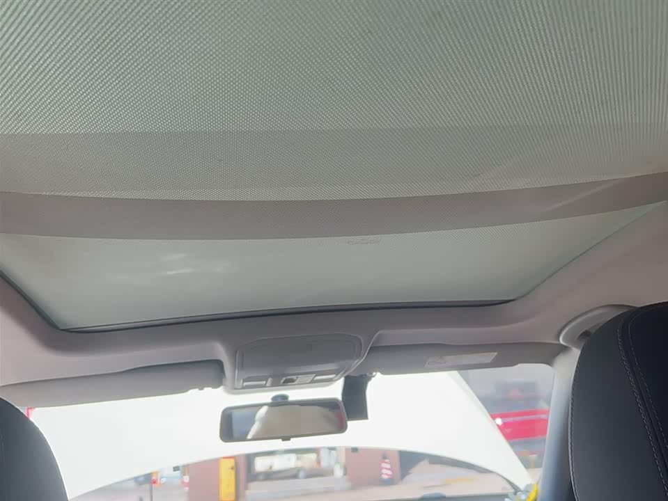 Volkswagen C-TREK Wei Collar