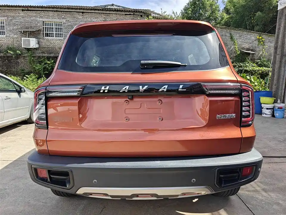 Haval Big dog
