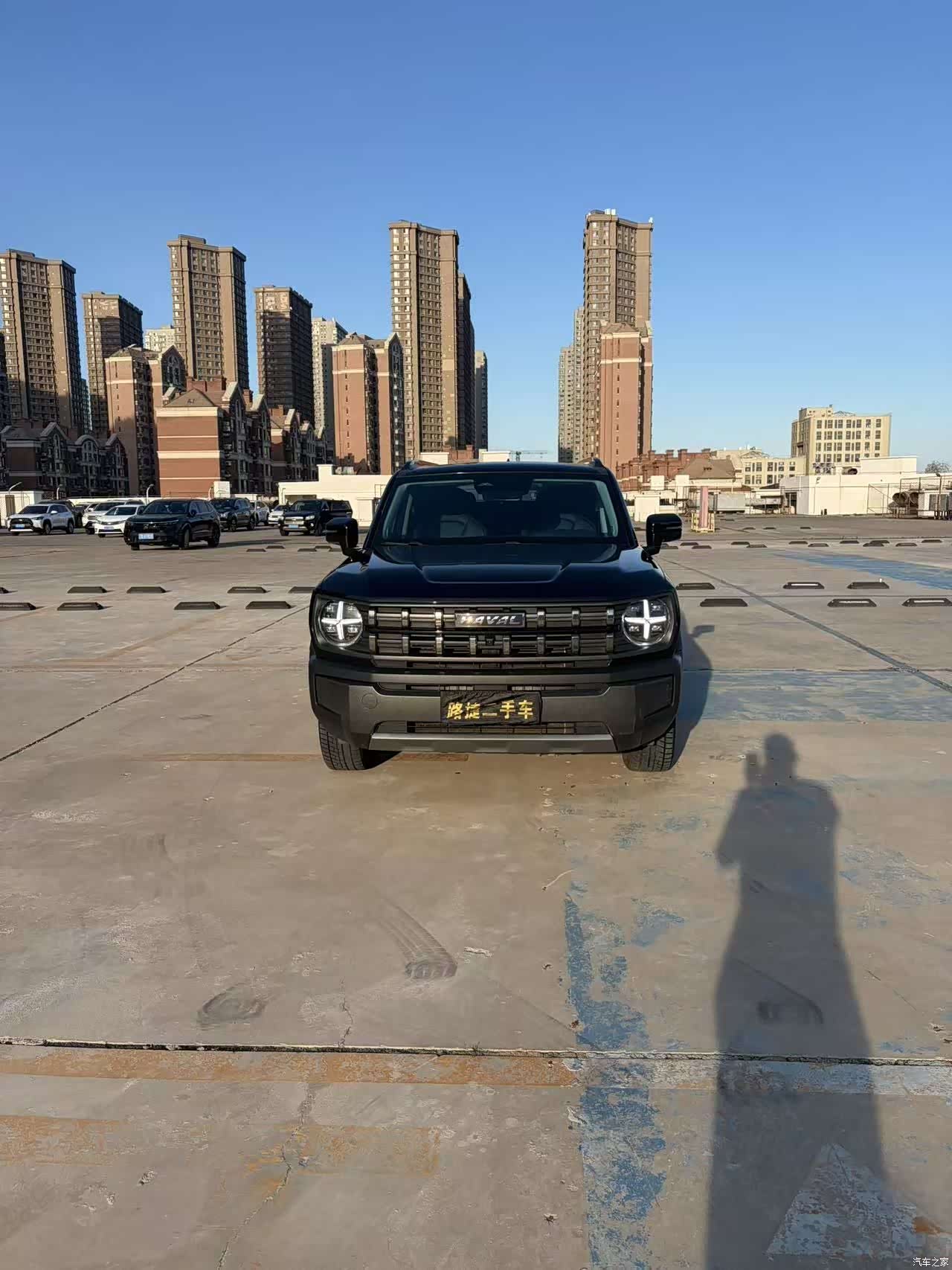 Haval Cool Dog, 2022 4