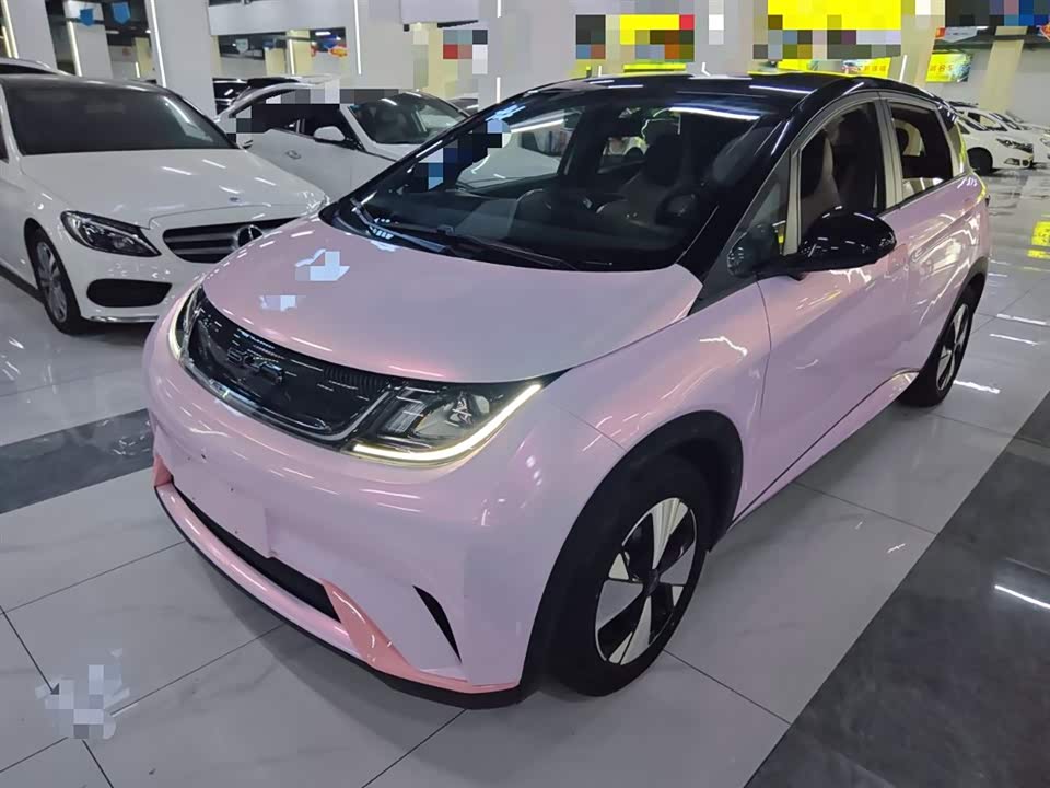 BYD dolphin