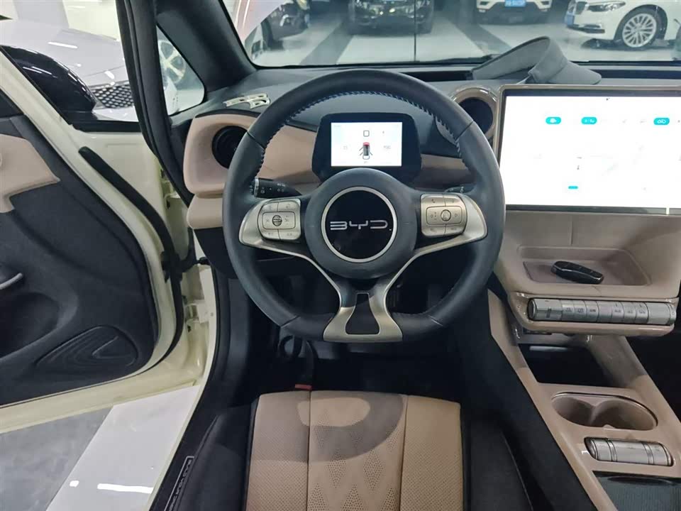 BYD dolphin