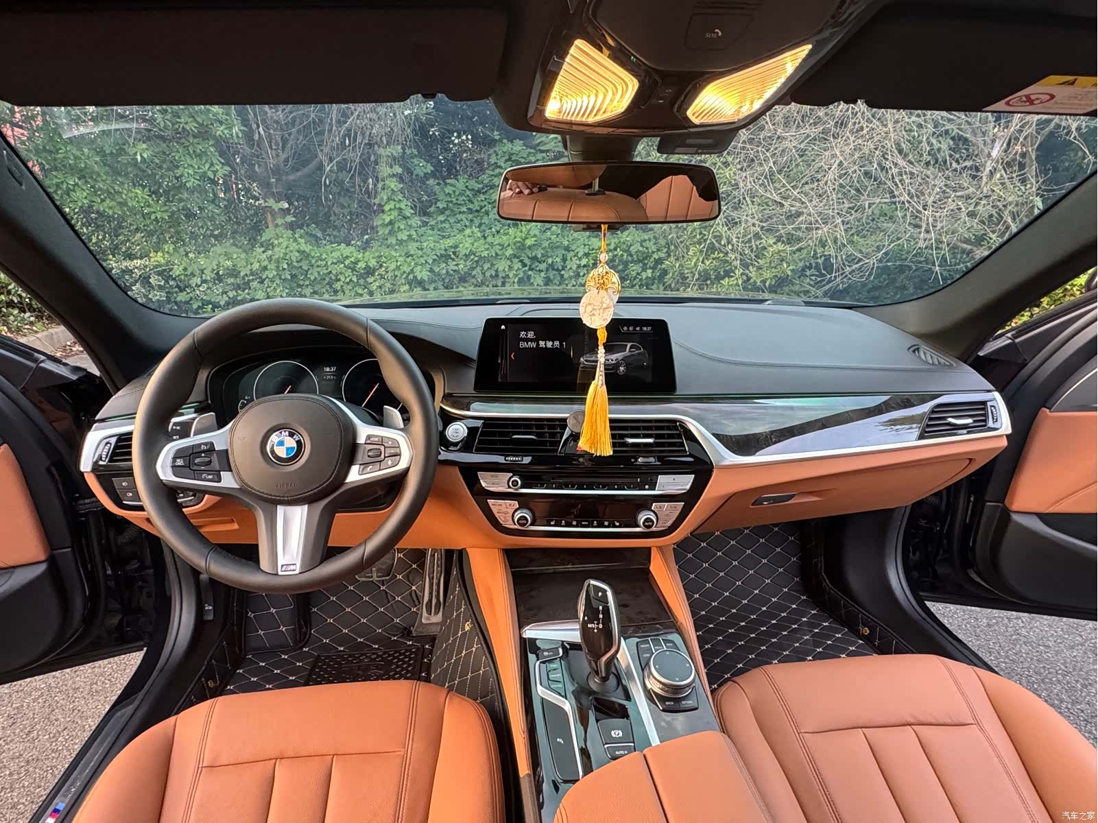 BMW 5 Series, 2019 13