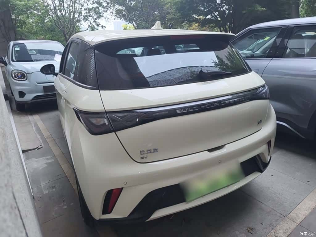BYD Dolphin, 2026 все фото