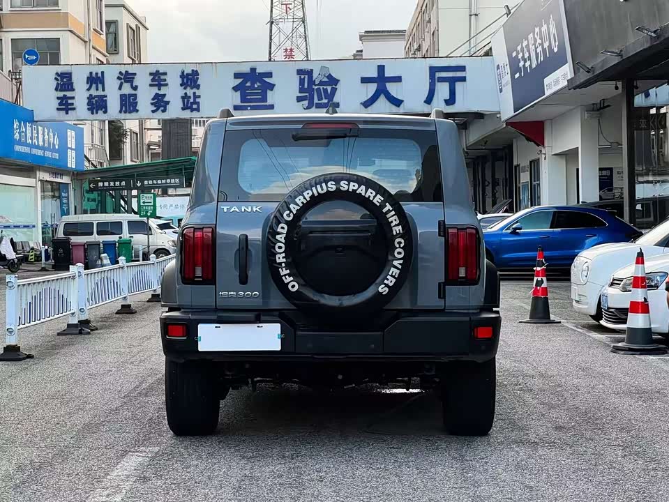 Tank 300