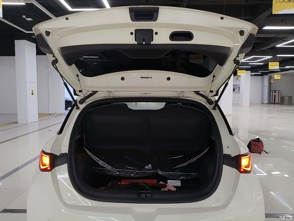 BYD Dolphin, 2024 19