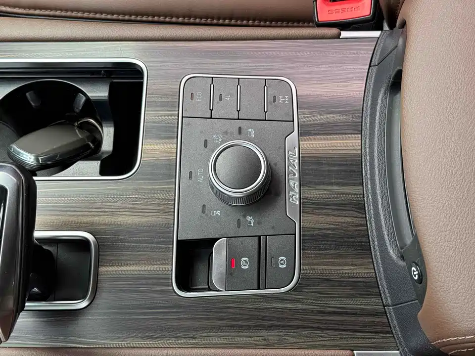 Haval H9