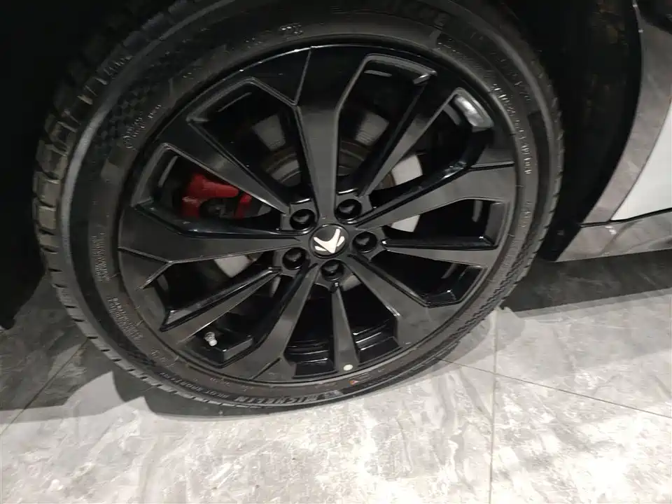 ARCFOX Polar Fox Alpha S