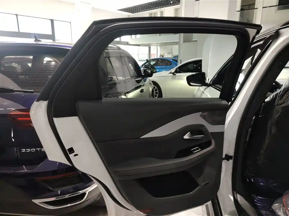 ARCFOX Polar Fox Alpha S