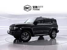 ̹��300 2024�� 2.0T ��Խ��