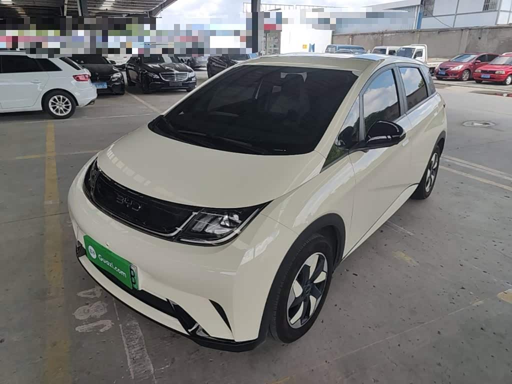 BYD Dolphin 2025 420km Freedom