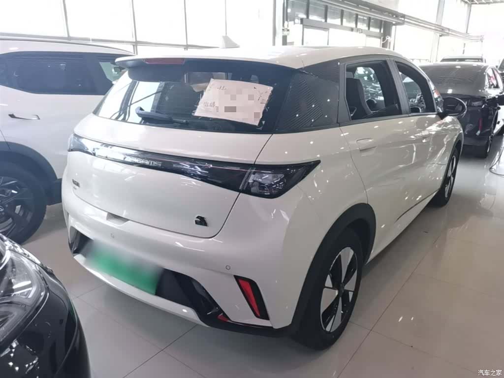 BYD Dolphin, 2024 7