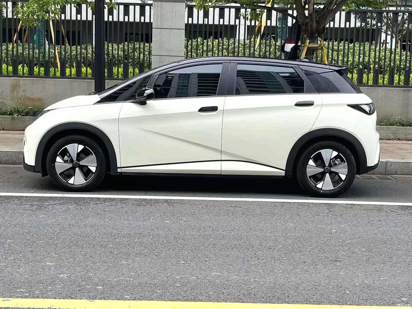 BYD Dolphin, 2023 6