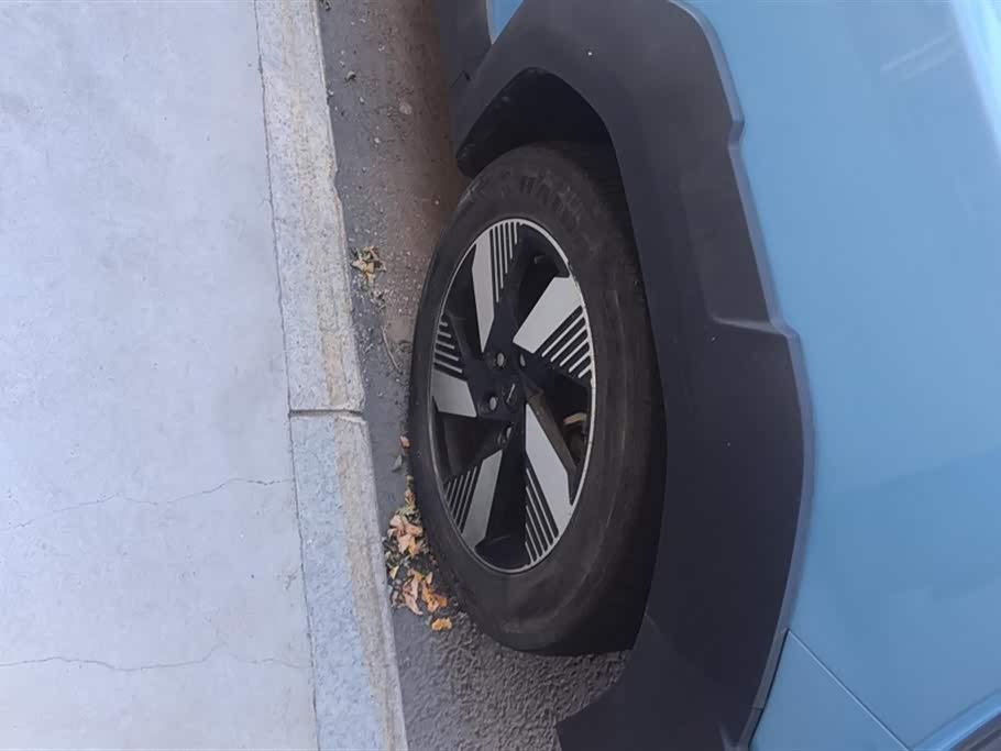 SWM SWM Sway Tiger EDi