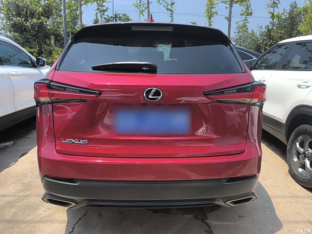 Lexus NX, 2019 6