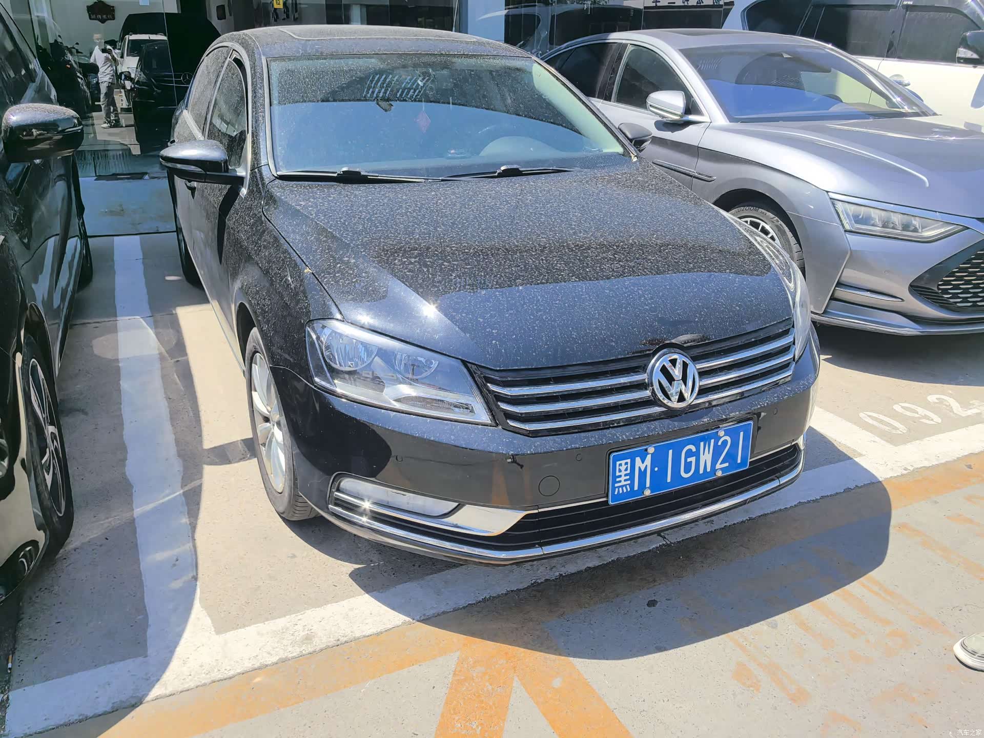 Volkswagen Magotan, 2013 3