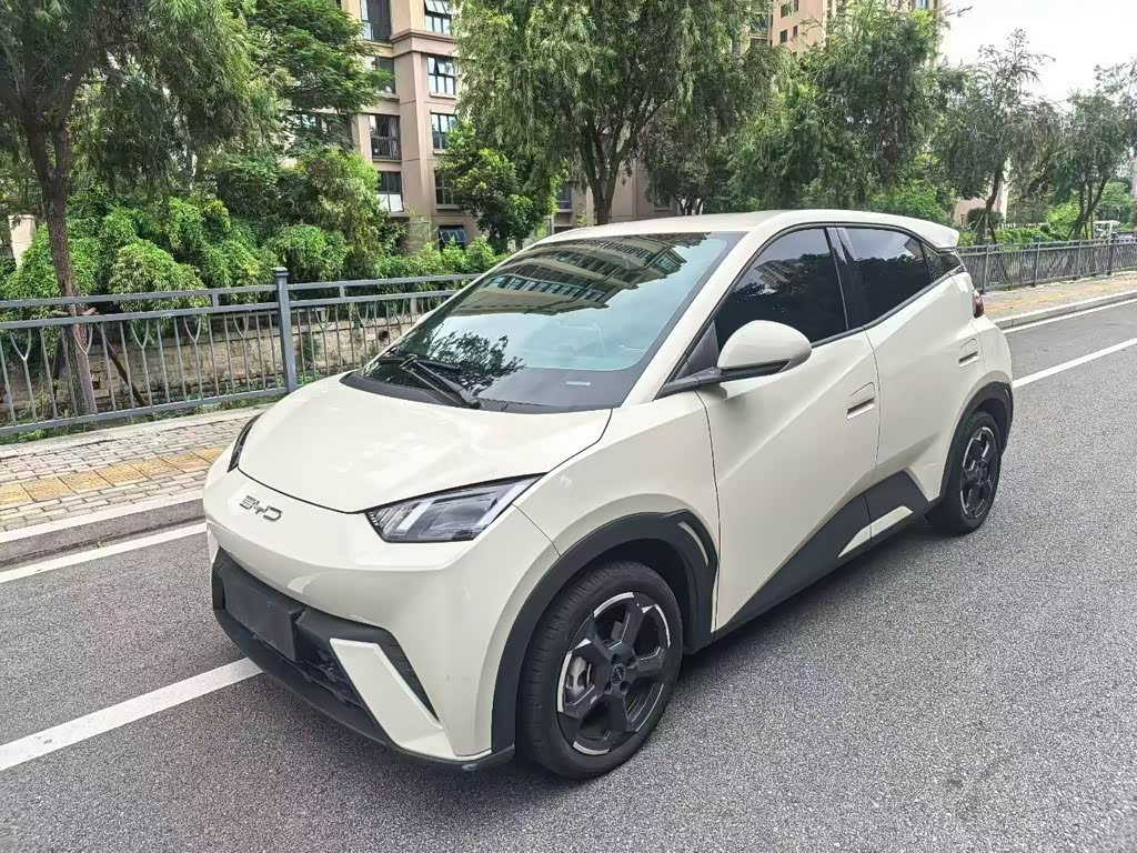 BYD Seagull