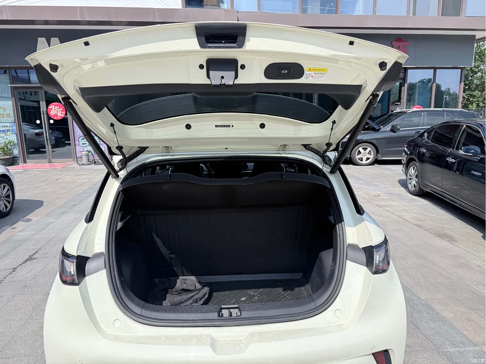 BYD Dolphin, 2023 13