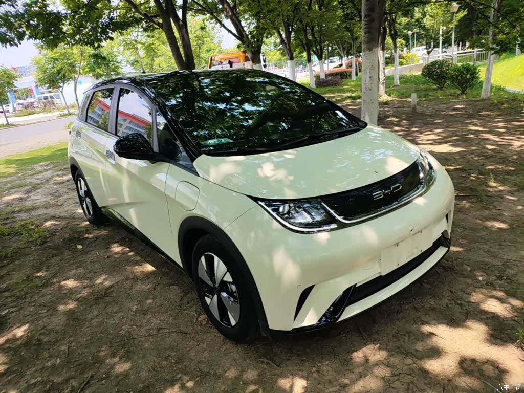 BYD Dolphin, 2023 4