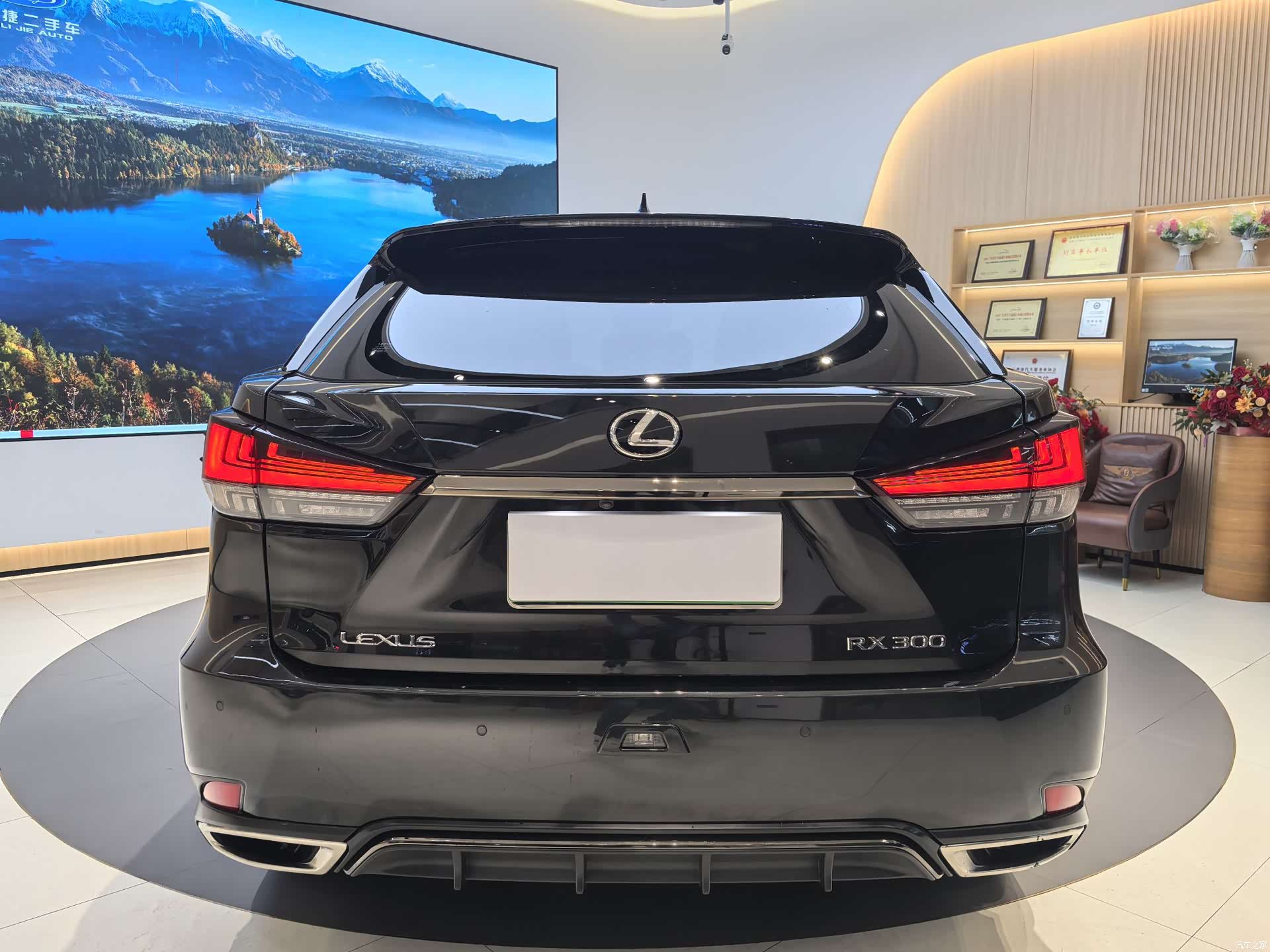 Lexus RX, 2021 6