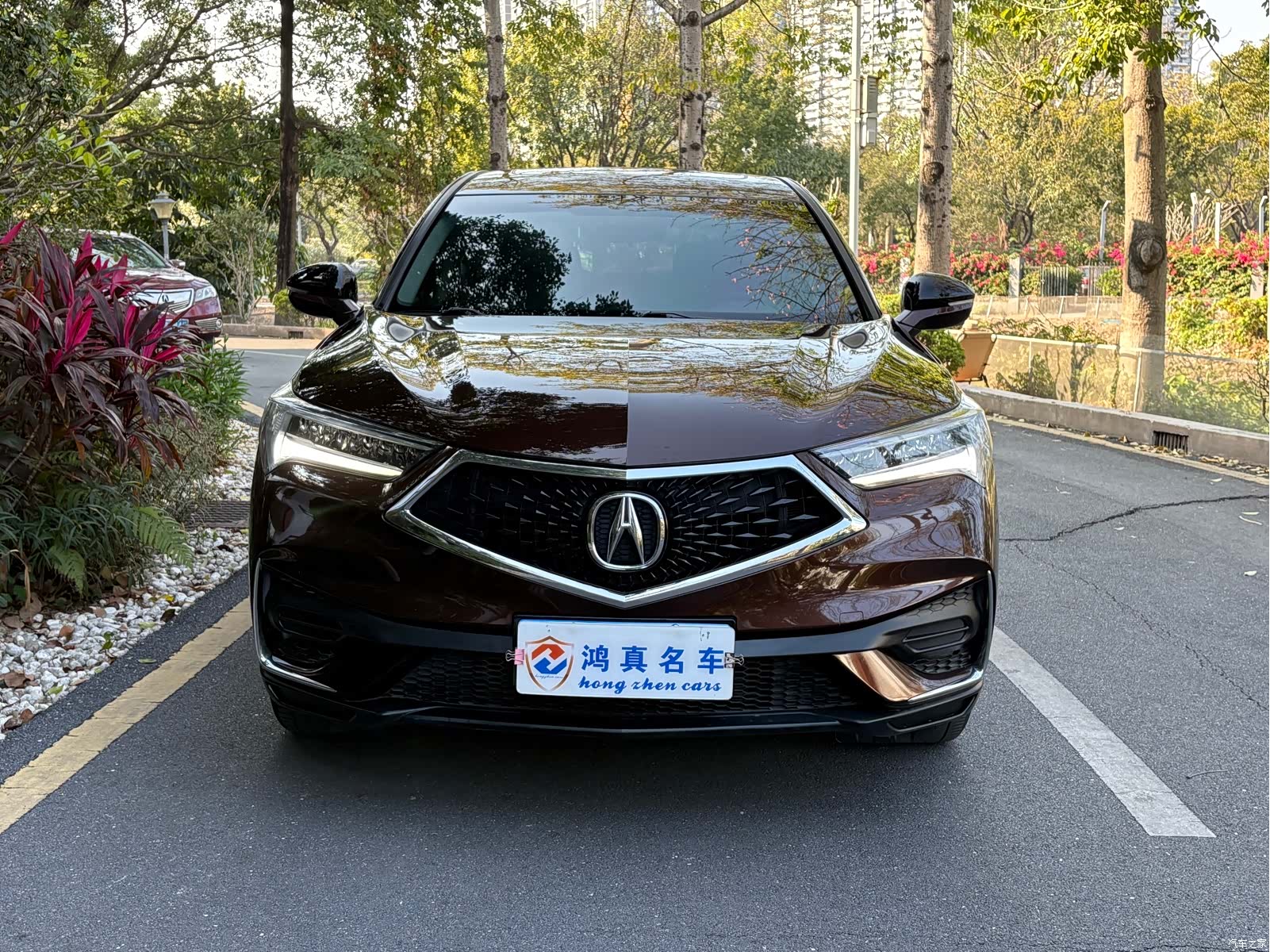 Acura CDX, 2021 3