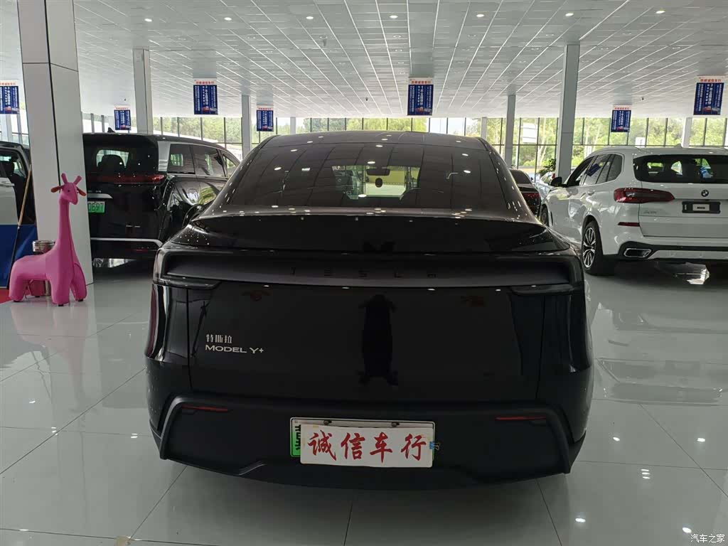 Tesla Model Y, 2025 все фото